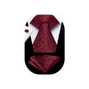 HISDERN Burgundy Tie Paisley Mens Ties and Pocket Square Cufflinks