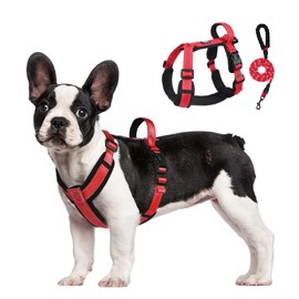 UNA MASCOTA Arnés para Perros Reflectante y Transpirable - Correa de Pecho Cómoda para Perros con Correa 1.5m (Rojo, S)
