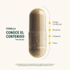 Life 360 Fuel Blend Cápsulas 696 Miligramo Porciones Suplemento Alimenticio