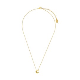 Amor 2026763 Necklace with Pendant Stainless Steel Unisex Women's Men's Necklace 40 + 5 cm Gold C Comes in Jewellery Gift Box, Stainless Steel, No Gemstone