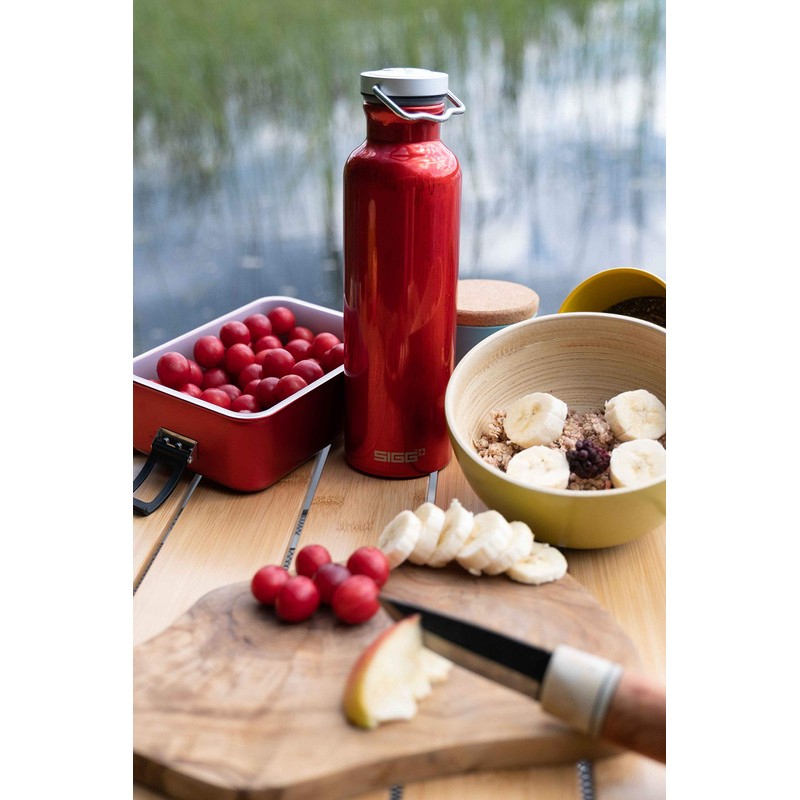 SIGG Metal Box Plus S, lunch box, 0.8 L, modern