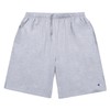 Champion Men's Big-Tall Jersey Shorts, Grey Heather, 1X