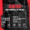 Aminoácidos En Polvo Wild Bear 1kg Prentreno Varios Sabores