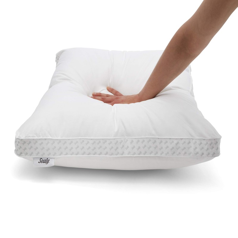 Sealy Essentials Down Alternative & Memory Foam Pillow, Standard/Queen, White