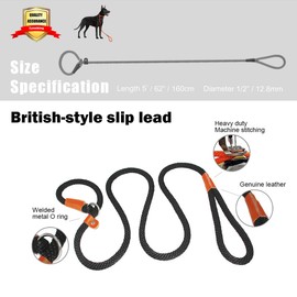 Dog Leads Durable Dog Rope Durable Weight Braided Jacket Making Guide Pet Rope Rust Proof Hook and Slide Training Everyday Dog Rope Walking (Large and Medium Dog Slide Ring, Black)