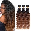 Giginger Bundles Human Hair T1B/4/30 Omber Deep Wave Human Hair