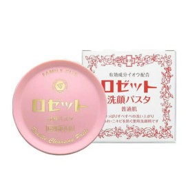 ROSETTE Cleansing Paste-  Facial Wash Assorted 90g Japan *USA Seller Free Ship - Normal Skin