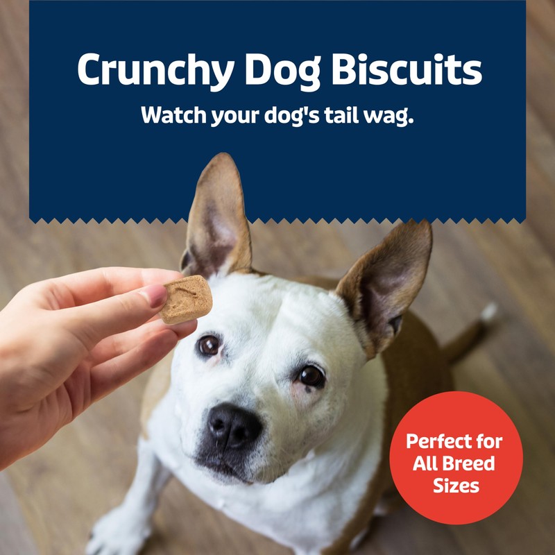 Blue Buffalo Health Bars Mini Crunchy Dog Biscuits, Oven-Baked with