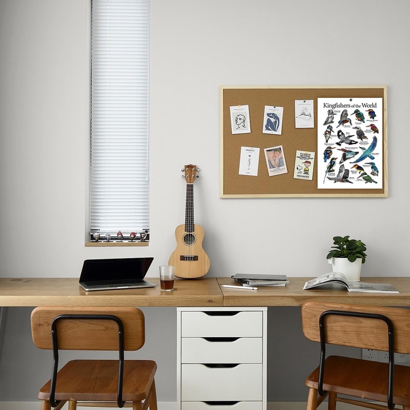 Cipszoely World Kingfisher A3 Identification Reference Educational Wall Poster, Perfect