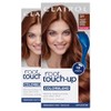 Clairol Root Touch-up, 5r Medium Auburn/reddish Brown, 2 Count