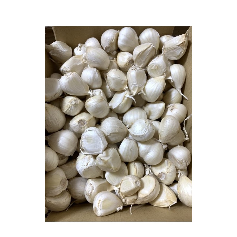 Garlic, White Six Pieces of Garlic, Produced in Aomori Prefecture,