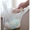 Watanabe Industries SP-45 Deodorizing Bags, Handbag, Translucent, 5.3 gal (20