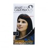 Avangardeu Avant-garde Squid Ink Hair Coating Color Cream Black