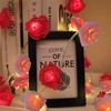 9.8 ft (3 m) 20 flowers create a mood! Rose