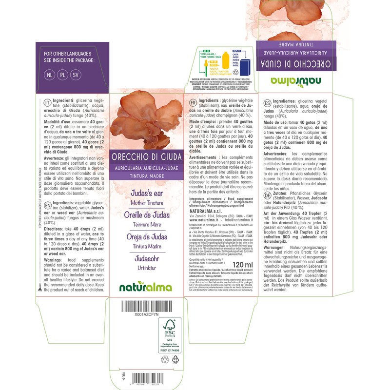 Judas Ear or Elderberry Mushroom (Auricularia auricula-judae) Mushroom Alcohol-free Mother