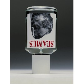 Entrance Amber EDP 50ml / 엔트런스 앰버 EDP 50ml