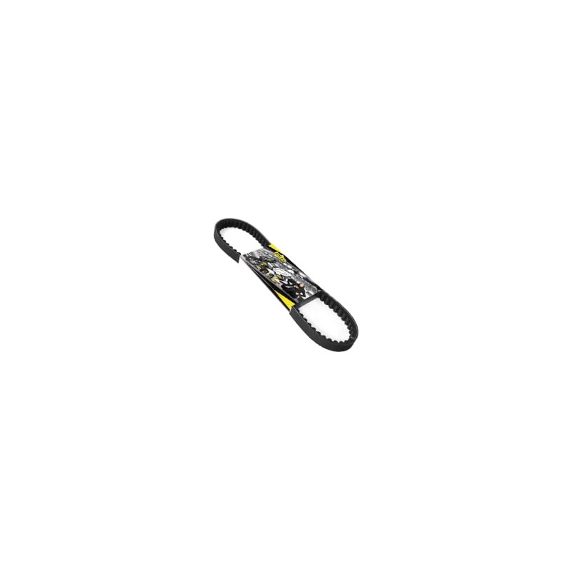 Variomatik Set Compatible with Rally 50 (13 mm/16 Teeth)