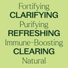 Plant Therapy Wellness Sampler Essential Oil Set – 100% Pure