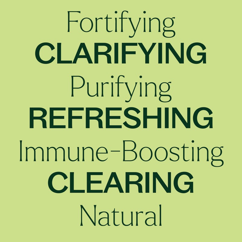 Plant Therapy Wellness Sampler Essential Oil Set – 100% Pure