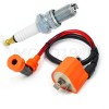 MOTO1988 Ignition Coil & Spark Plug for Yamaha 1989-2004 Warrior