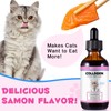 JSBNQRMZ Collagen Dietary Supplement For Cats,60ml Collagen And Msm Can