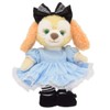 Alice Teddy Bear Mail Order Cookie Anne Clothes Costume Alice