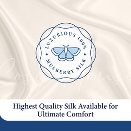 Cosy House Collection 100% Silk Pillowcase - Pure Mulberry Silk - Cooling, Breathable, 22 Momme 6A High-Grade Fibers + Hidden Zipper Closure (King, Black)