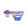 Tipsy Elves American Flag USA Fanny Pack with Drink Holder