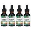 Nature's Answer Propolis 1000mg Liquid, 4, 30ml / 네이쳐스앤서 프로폴리스 1000mg 리퀴드, 4개, 30ml