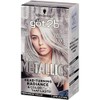 Got2B Schwarzkopf Got2b Metallics Permanent Hair Color, M71 Metallics Silver