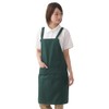 Catch Apron with Pocket, Neck Hanging, Men's, Women's, Green F