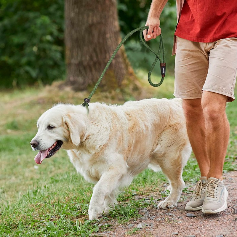 Wolfi Correa para Mascota Duradera, Correa Resistente y cómoda para
