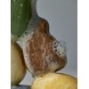 Salt Massage Body Scrub Bar / 솔트 마사지 바디스크럽바