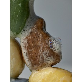 Salt Massage Body Scrub Bar / 솔트 마사지 바디스크럽바
