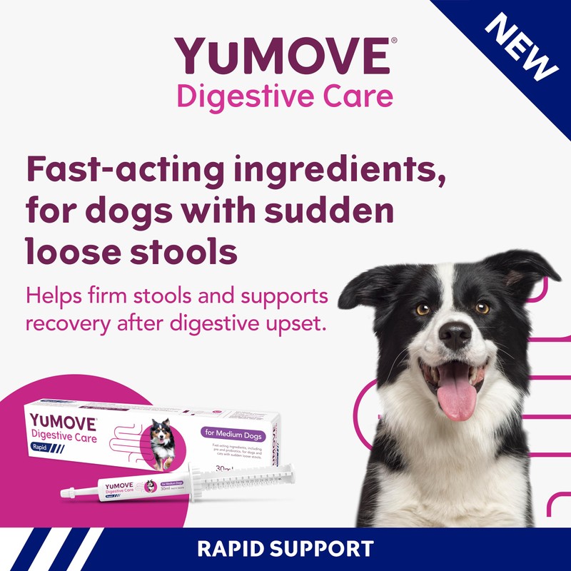 YuMOVE Digestive Care Rapid, Dog Pre and Probiotic Paste for