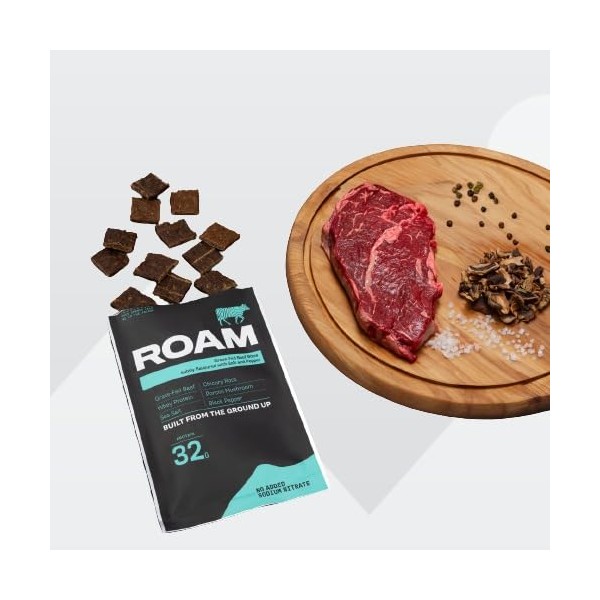 ROAM ROAM Natural Protein Bites, Meal Replacement Keto Bites, 6