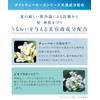 YOLU | Shampoo Relaxing Night Repair Tuberose