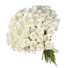 Kymo 50PCS 11.81" Long Stem Fabric Artificial Roses, Realistic Fake Rose Bouquet for Wedding Centerpieces, Bridal Bouquet, Valentine's Gifts, Artificial Flowers & Home Decor (Kymo‑Rose‑CreamWhite)