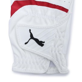 Golf Fusion Grip Glove 3.0 (Right Hand) 042106/Synthetic Leather/Basic/Classic, bright white/strong red, 24