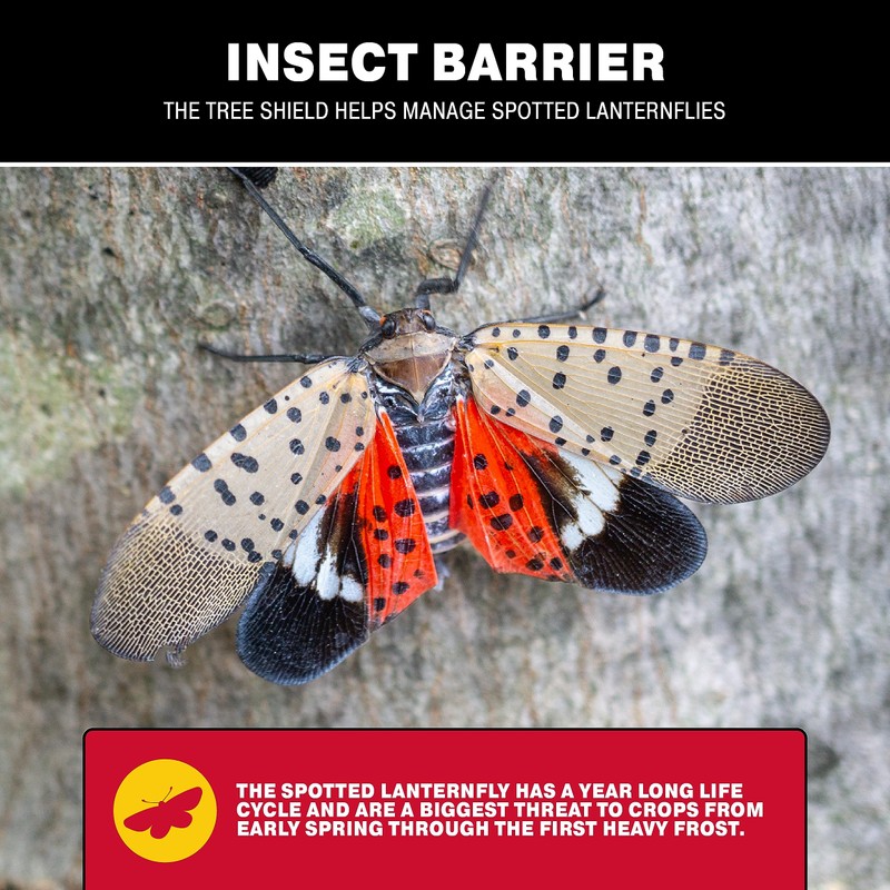 Catchmaster Tree Shield Lantern Fly & Ant Traps Insect Barrier,