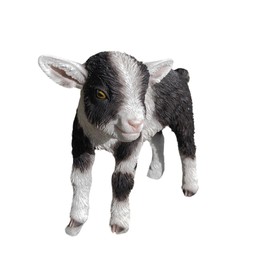 Vivid Arts - Kid Goat - Garden Decor - Indoor Outdoor (Black & White, Small)