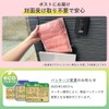 Iris Ohyama APN-60LXN Mask, Non-woven Fabric, Pleated Mask, Color Mask,