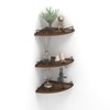 Trwcrt Corner Shelf Wall Mounted Set of 3, Floating Wall