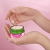 WELEDA Organic Smoothing Night Cream Wild Rose & White Tea