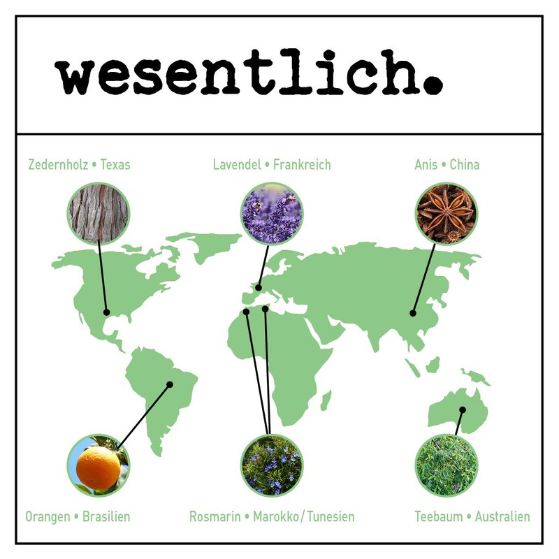 wesentlich Organic Cold-Pressed Argan Oil 100 ml (Argania Spinosa) 100%
