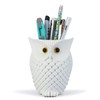HDMbigmi Owl Pen Holder Makeup Brush Holder Resin Desk Organizer