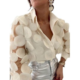 UOOZEE Women's Long Sleeve Dressy Casual Blouse Button Down Sheer Polka Dot Cocktail Party Tops Shirts, Apricot, XL