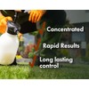 Pro Grub Control – 32oz - Concentrated Imidacloprid (21.4%) Insecticide