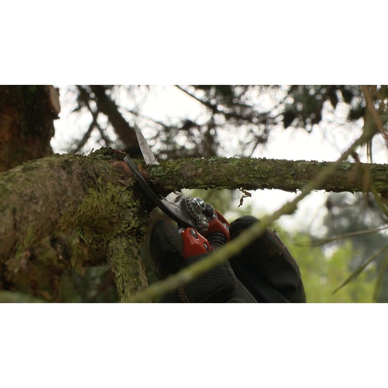 Bacho PXR-L2 Ergonomic Secateurs (Rotating)