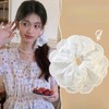 Jseng 2PCS Extra Large Lace Scrunchies for Hair, Korea Lace